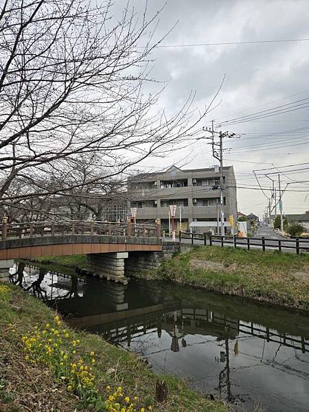 1140324-8新河岸川