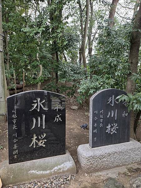 1140324-9冰川神社(二)