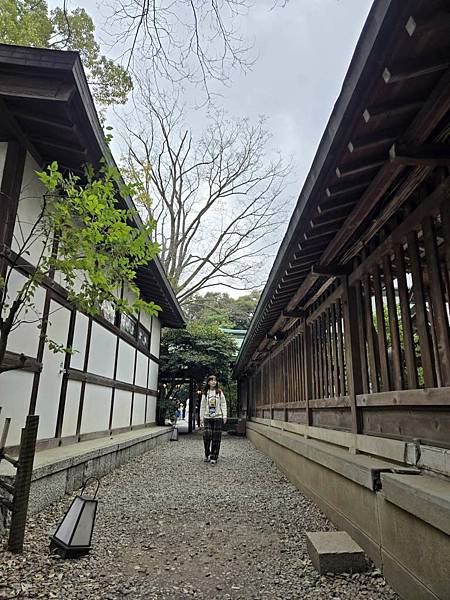 1140324-9冰川神社(二) 1140324-9冰川神社(二)