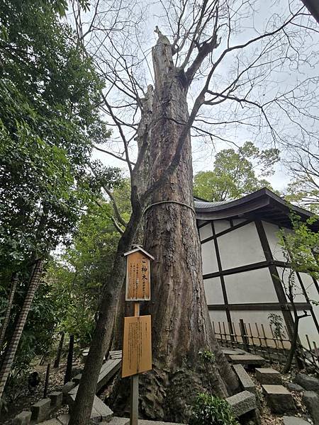 1140324-9冰川神社(二) 1140324-9冰川神社(二)