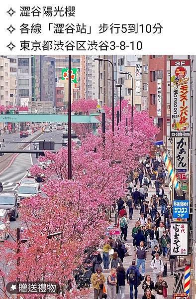 1140324-10澀谷