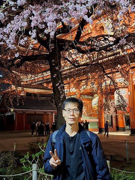 1140325-12淺草寺夜櫻