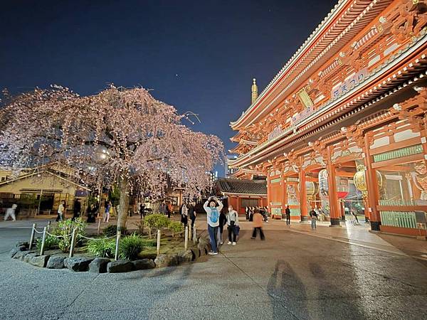 1140325-12淺草寺夜櫻