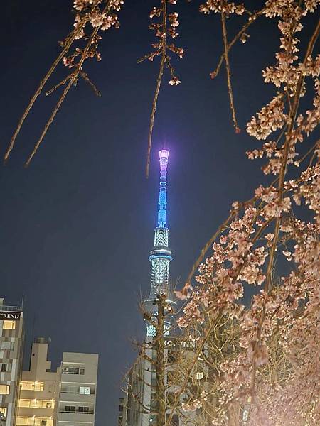 1140325-12淺草寺夜櫻