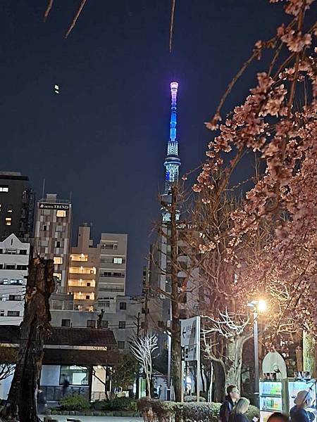 1140325-12淺草寺夜櫻