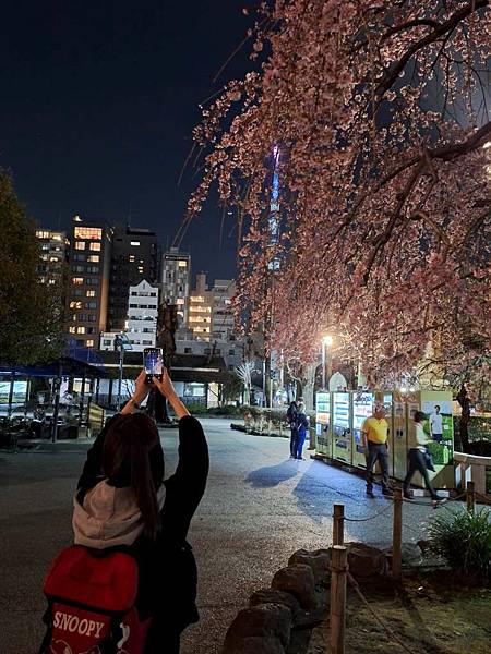 1140325-12淺草寺夜櫻