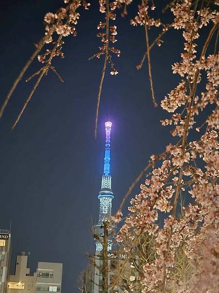 1140325-12淺草寺夜櫻