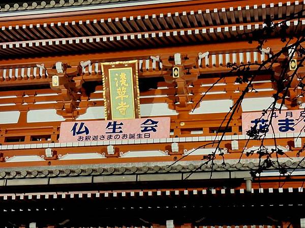 1140325-12淺草寺夜櫻