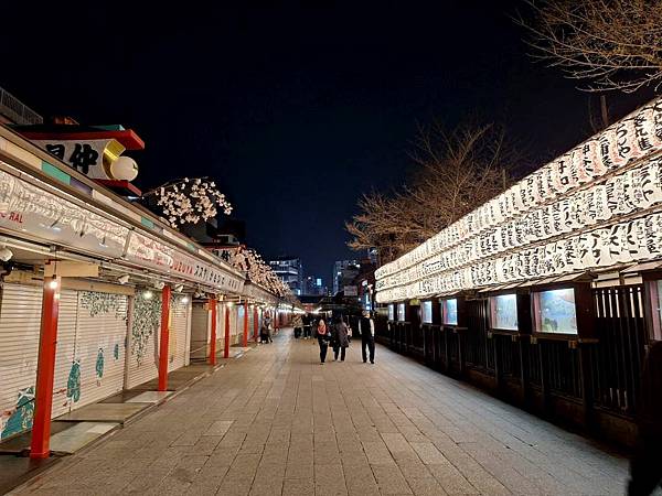 1140325-12淺草寺夜櫻
