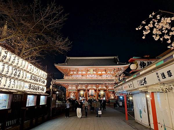 1140325-12淺草寺夜櫻
