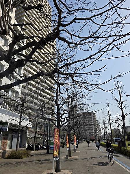 1140326-1汐入公園(一)