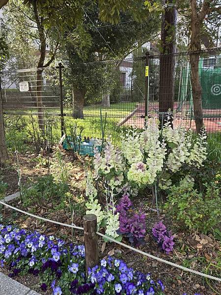 1140326-1汐入公園(一)