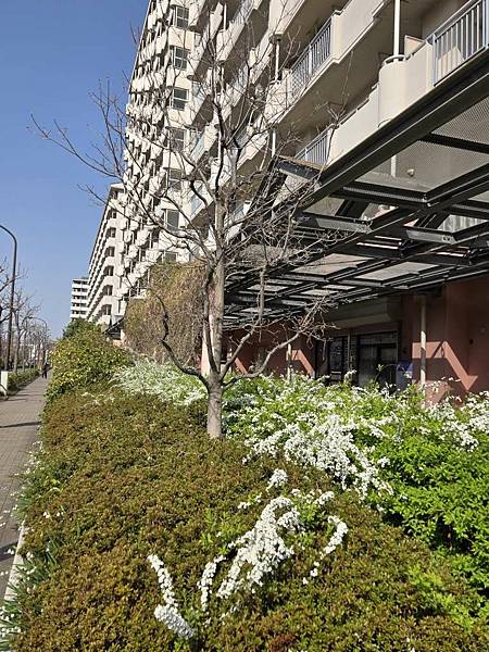 1140326-1汐入公園(一)