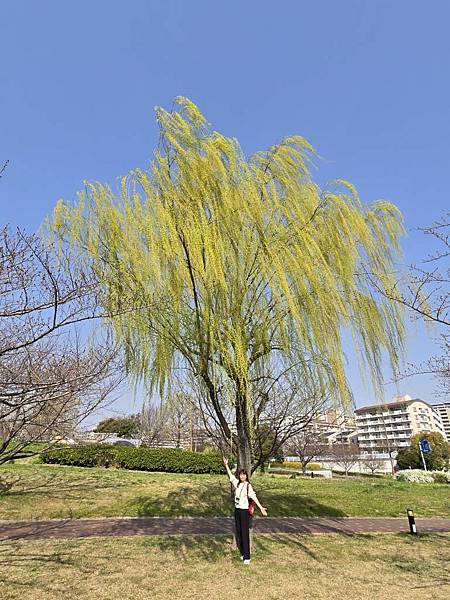 1140326-1汐入公園(一)