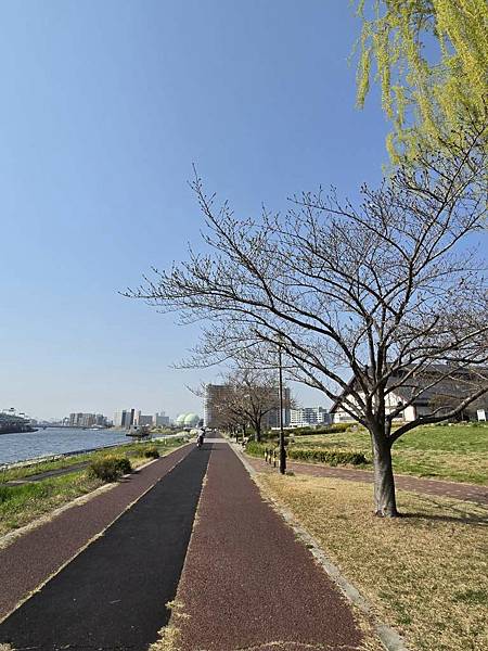 1140326-1汐入公園(一)