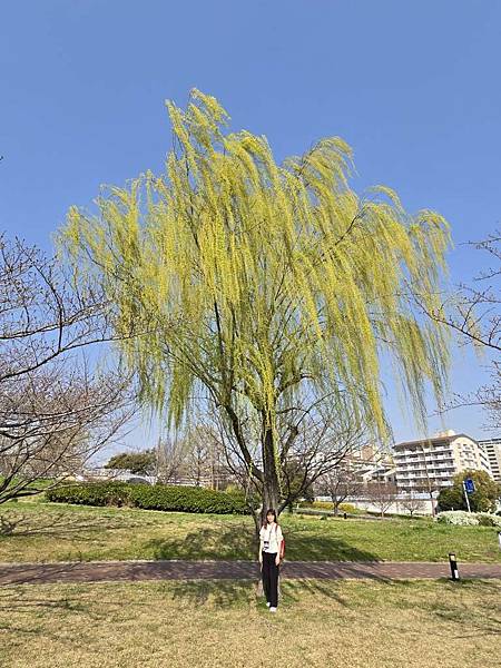 1140326-1汐入公園(一)