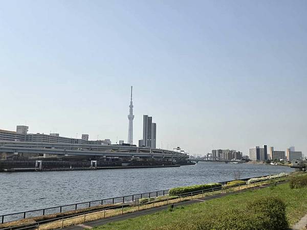 1140326-1汐入公園(一)