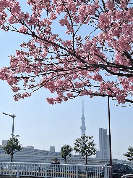 1140326-1汐入公園(一)