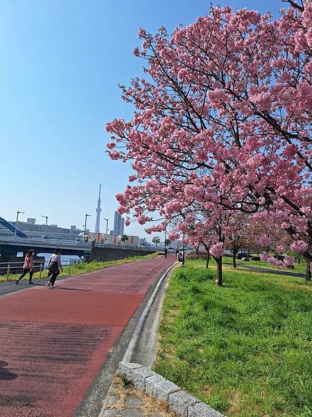 1140326-1汐入公園(一)