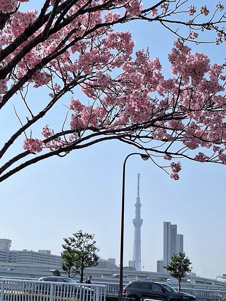 1140326-1汐入公園(一)