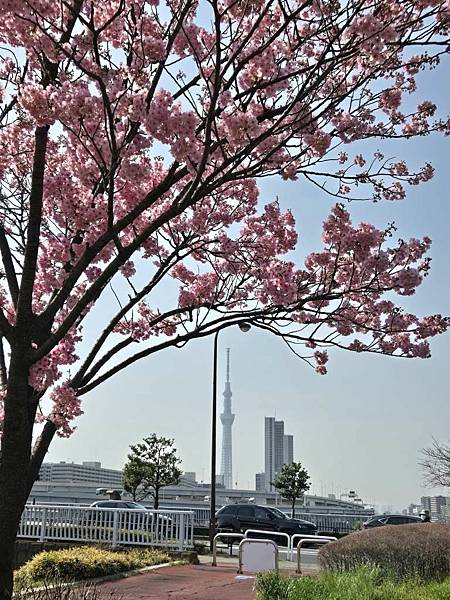 1140326-1汐入公園(一)