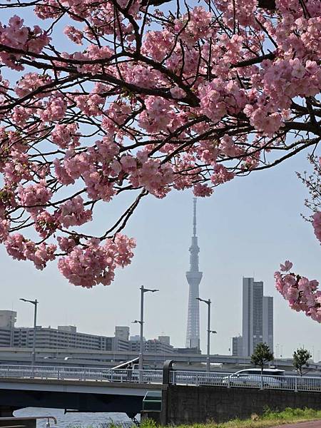 1140326-1汐入公園(一)