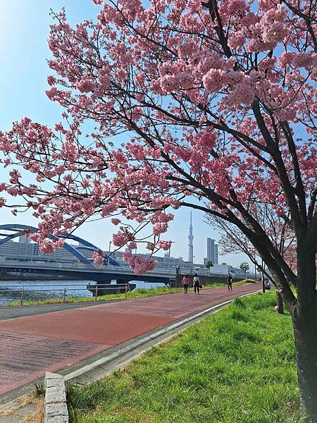 1140326-1汐入公園(一)