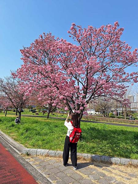 1140326-1汐入公園(一)