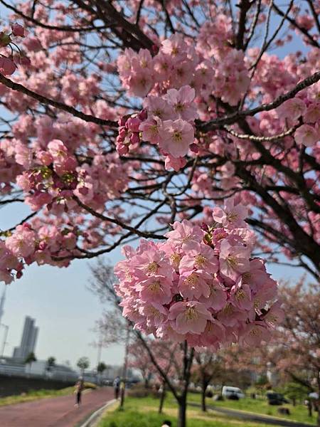1140326-1汐入公園(一)