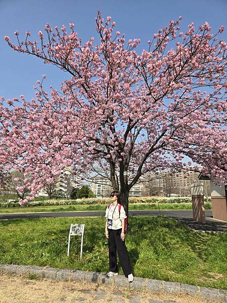 1140326-1汐入公園(一)