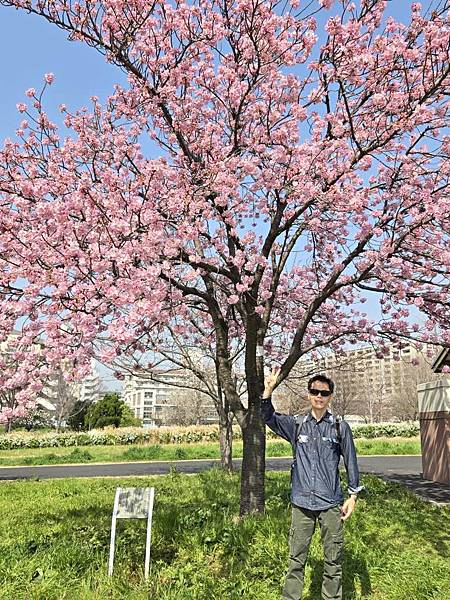 1140326-1汐入公園(一)