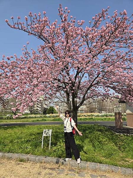 1140326-1汐入公園(一)