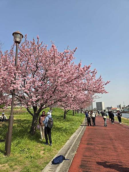 1140326-1汐入公園(一)