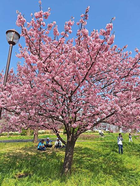 1140326-1汐入公園(一)