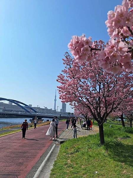 1140326-1汐入公園(一)