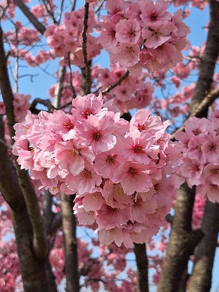 1140326-1汐入公園(一)