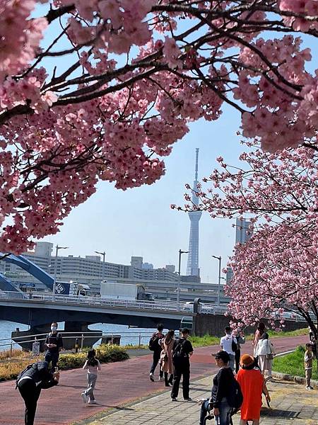 1140326-1汐入公園(一)