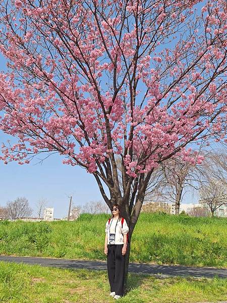 1140326-1汐入公園(一)