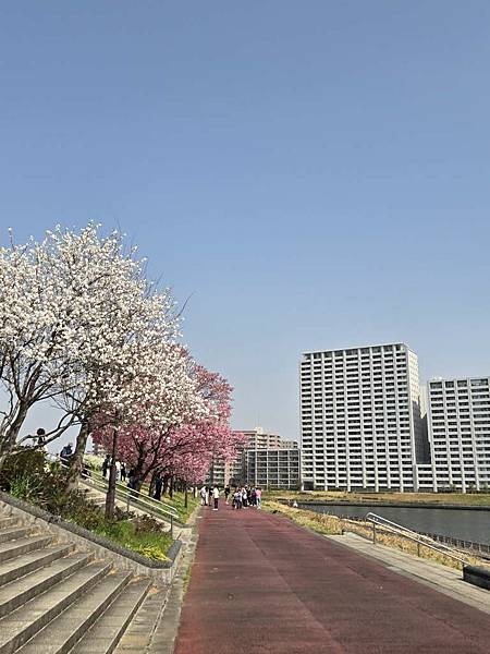 1140326-1汐入公園(一)