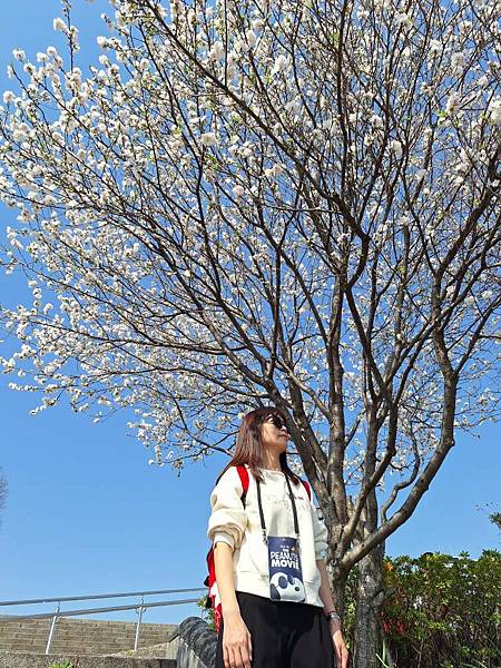 1140326-1汐入公園(一)