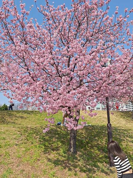 1140326-1汐入公園(一)