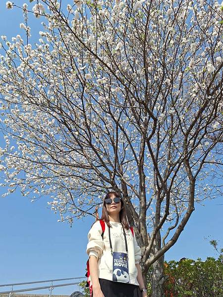 1140326-1汐入公園(一)