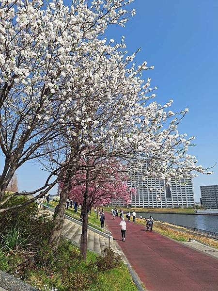 1140326-1汐入公園(一)