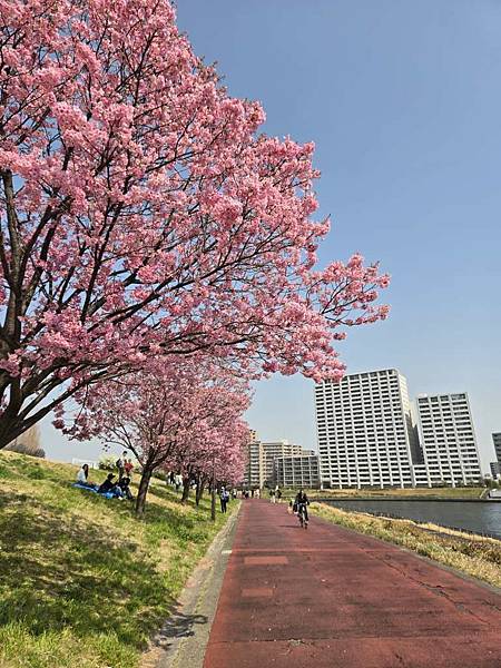 1140326-1汐入公園(一)