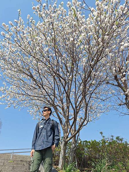 1140326-1汐入公園(一)