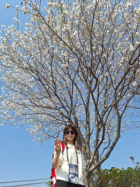 1140326-1汐入公園(一)