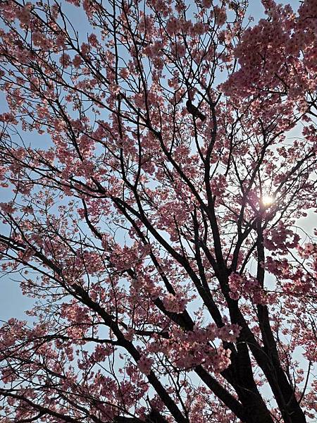 1140326-1汐入公園(一)