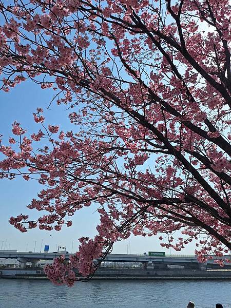 1140326-1汐入公園(一)