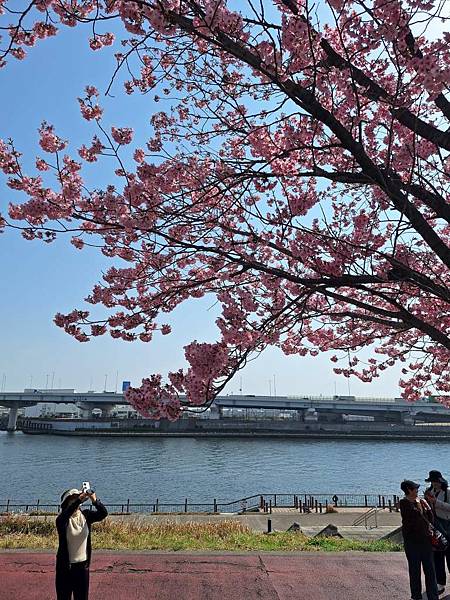 1140326-1汐入公園(一)