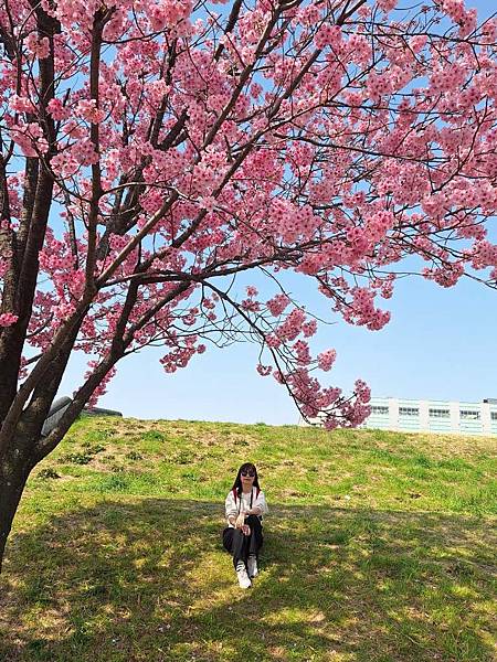 1140326-1汐入公園(一)